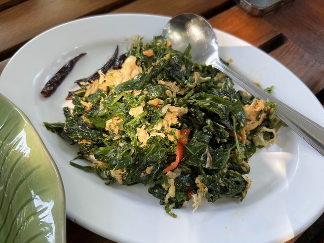 ร้านอร่อย บรรยากาศเหมือนทานในป่า ร่มรื่นมาก