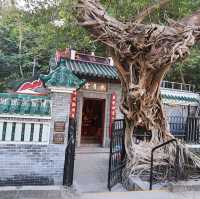 有避風塘景的風之塔公園