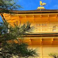 Buddhist temple in Kyoto covered in gold leaf