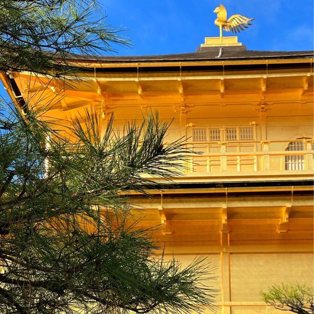 Buddhist temple in Kyoto covered in gold leaf