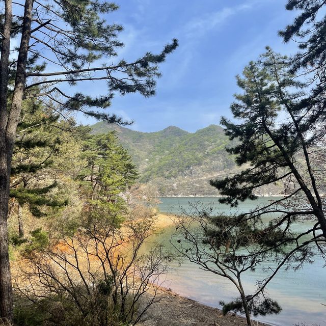 부산의 숨은 힐링장소 회동수원지 둘레길 황토숲길🌱🌸