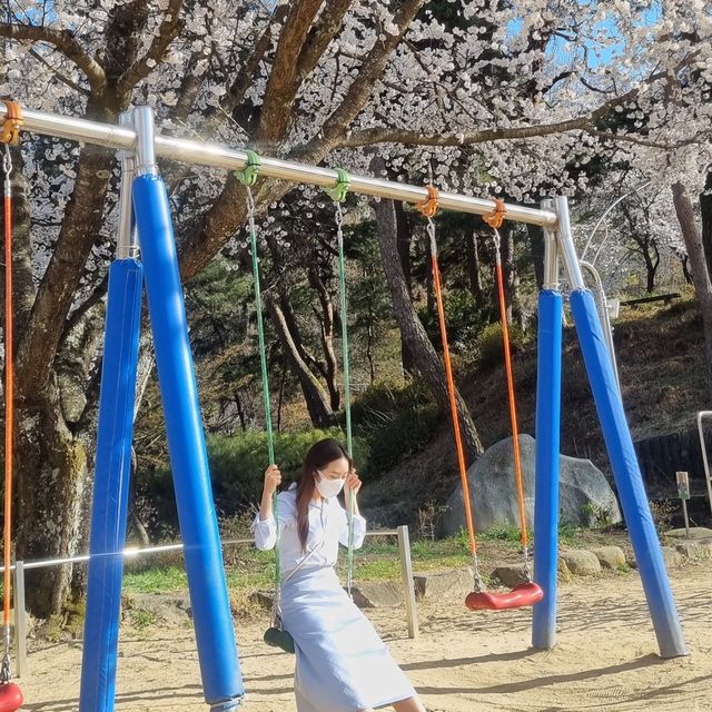 경남 꽃놀이 명소 모음🌸