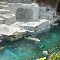 【 市區內的傳統動物園。天王寺動物園 】