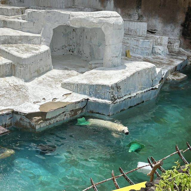 【 市區內的傳統動物園。天王寺動物園 】