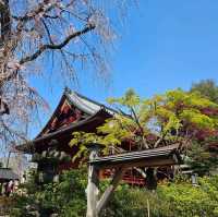 東京必到景點之上野恩賜公園