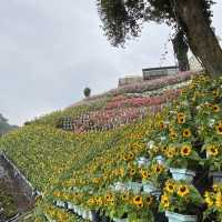Floral Park: A Floral Fantasia in Cameron