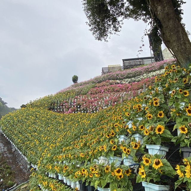 Floral Park: A Floral Fantasia in Cameron