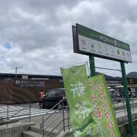 【静岡】伊豆わさびミュージアムとわさびグルメ