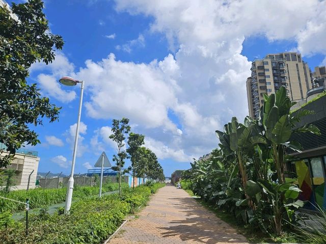風景優美的將軍澳海濱長廊