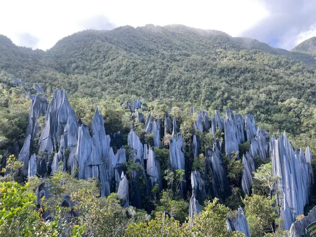 Tough climbs are rewarded with the best views