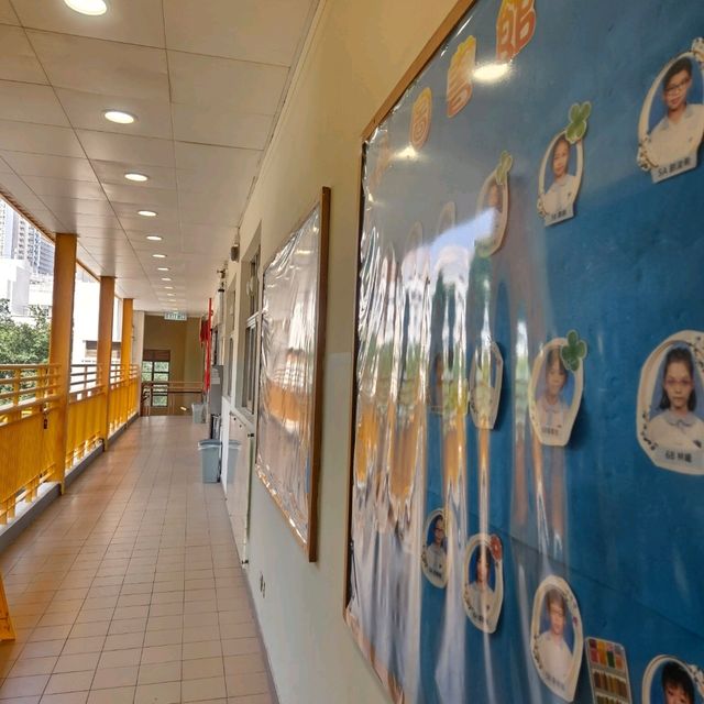 参觀李陞小學觀後感