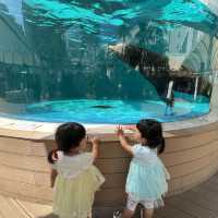 都内にある水族館！