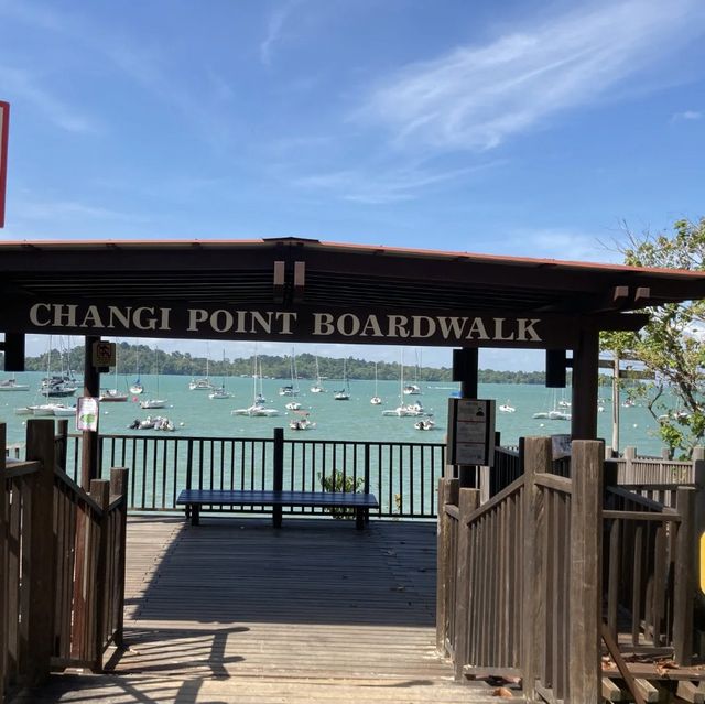 🎉 樟宜木板路 🌊 海濱步道 🏖