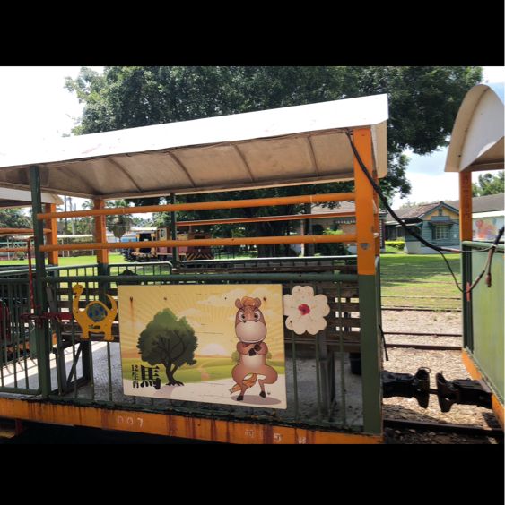 來臺南後壁區「烏樹林」，體驗世界上最慢的火車