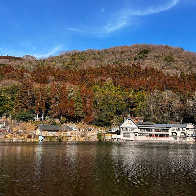 유후인가면 꼭 들러야할 긴린코호수🦢🦢