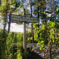 A Cozy Haven in Sagada: Blue Mountains Cabin
