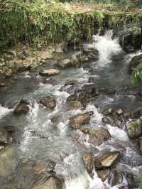 My ❤️ is left behind in Akinabalu