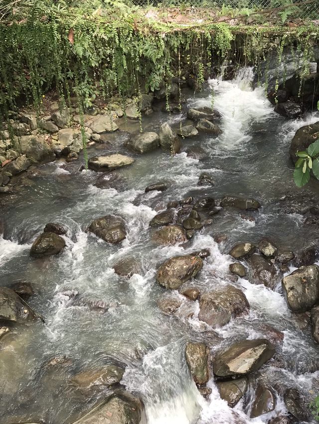 My ❤️ is left behind in Akinabalu