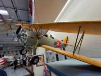 Arizona Commemorative Air Force Museum 🛫✨