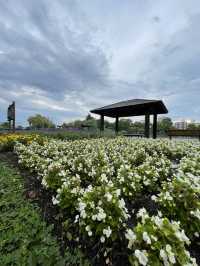 旭川市的美麗後花園～常磐公園💐