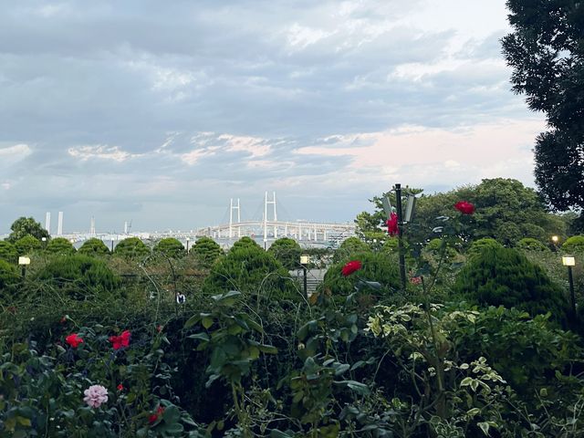 港の見える丘公園 ＠横浜⛲️