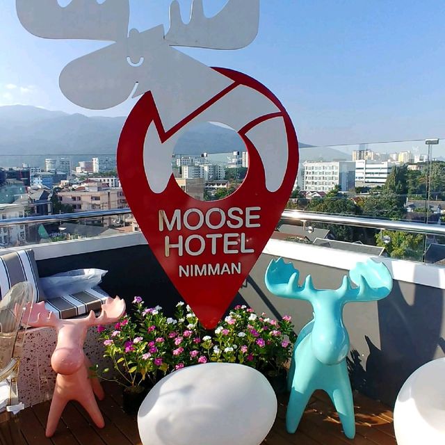 Experience the vibrant hues at Moose Hotel