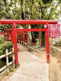 【香川】讃岐國一宮　田村神社