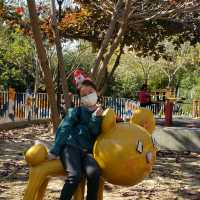 野餐好去處【台中大里】東湖公園