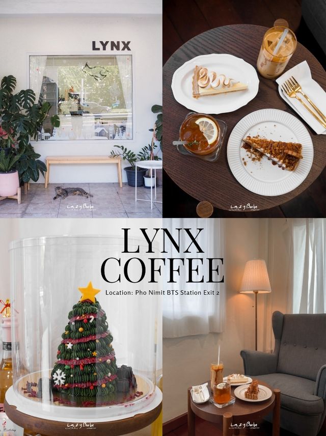 LYNX COFFEE สาขาโพธิ์นิมิตร โฮมคาเฟ่สไตล์โคซี่ๆ