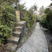 【馬灣行山】登上大嶺頭。飽覽青馬大橋。欣賞日落｜初級行山輕鬆路線兩小時內行完