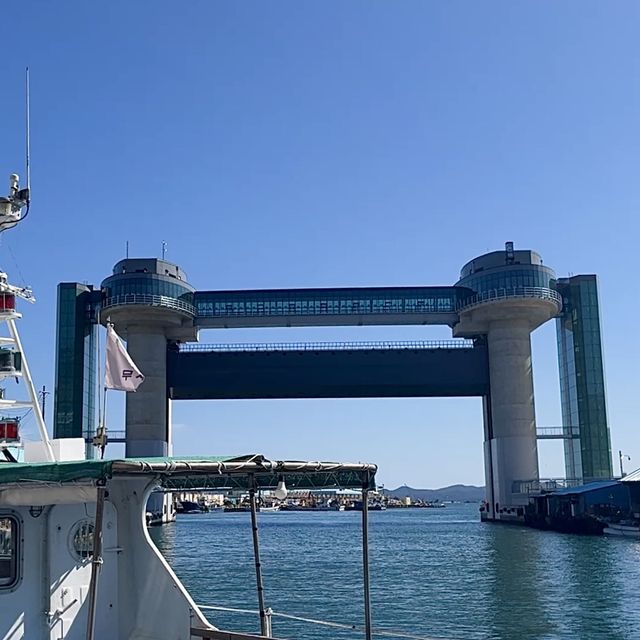 강원도여행 왔으면 이곳에서부터 시작! 삼척항 대게거리🦀