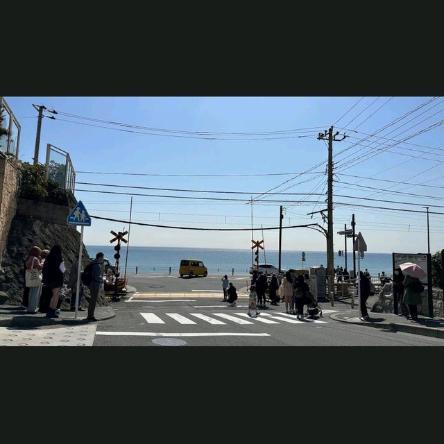 《男兒當入樽》實景🤳鎌倉高校😭