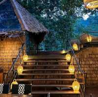 Tree monkeys ภูเก็ต คาเฟ่ฮิบใจกลางป่า