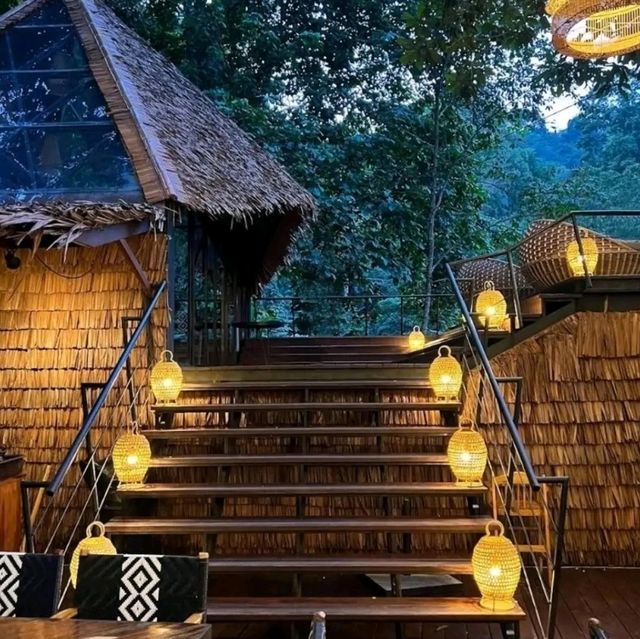 Tree monkeys ภูเก็ต คาเฟ่ฮิบใจกลางป่า