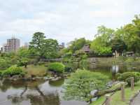 熊本. 九州🇯🇵🧸水前寺成趣園🏞️