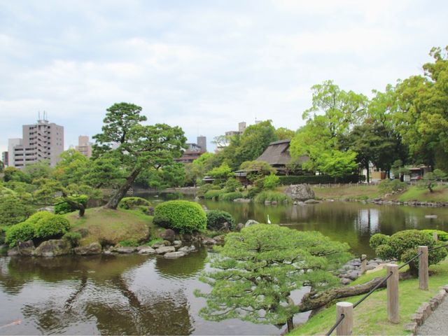 熊本. 九州🇯🇵🧸水前寺成趣園🏞️