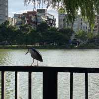 ✨大湖公園✨