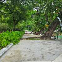 หาดไตรตรัง ภูเก็ต