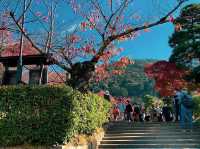 วัดคิโยะมิซุ 清水寺 หรือวัดน้ำใส 🍁⛩️