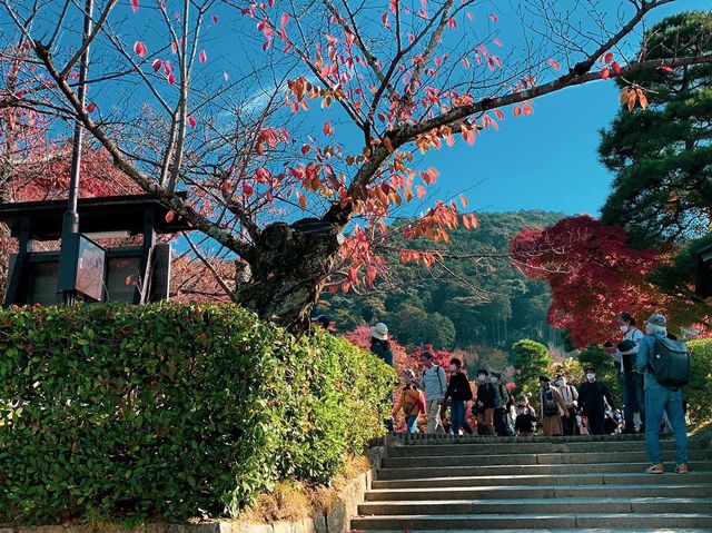 วัดคิโยะมิซุ 清水寺 หรือวัดน้ำใส 🍁⛩️