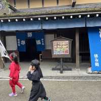 ちびっ子忍者で江戸観光