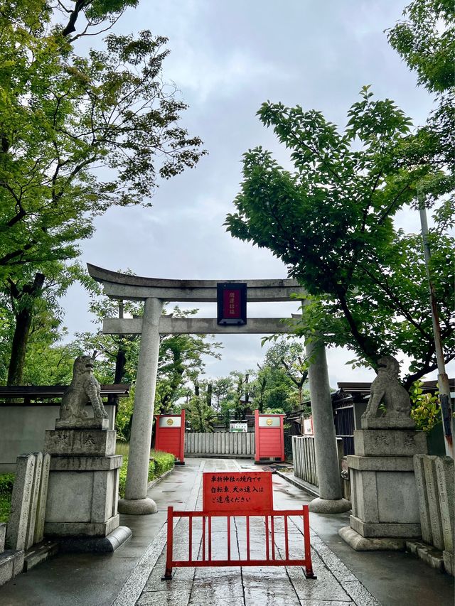 《大阪市京都嵐山一日遊》