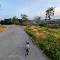 รีวิว โรงแรม The Paz Khaoyai 
