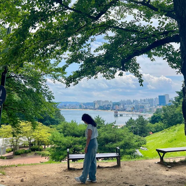 🫧힐링,먹방,바다를 찾고있다면 포항이에요🫧