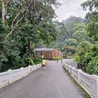 🌲 Lush Greens @ Penang Botanical Gardens