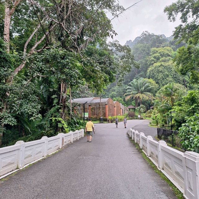 🌲 Lush Greens @ Penang Botanical Gardens