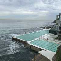 Fantastic Bondi Icebergs Pool