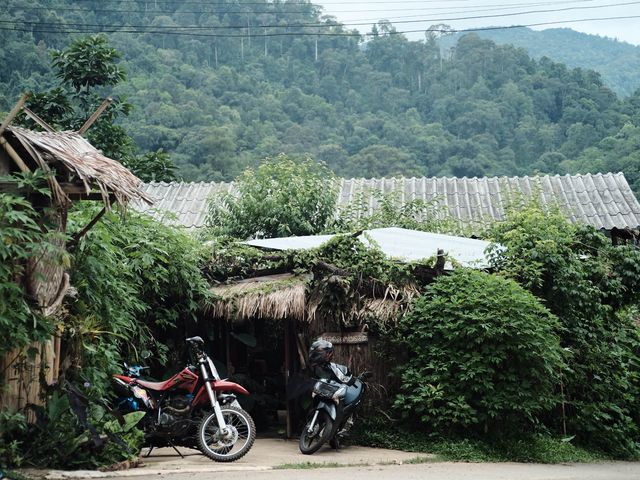 บ้านกอดลมห่มดอย จ.เชียงใหม่ ⛰🏡