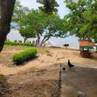 Out Island Day Tour from Ko Samat