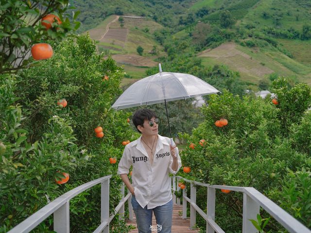 สวนดอกไม้ ป้างฮวา&สวนส้ม